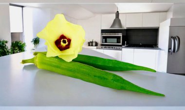 Close up of fresh Lady Fingers or Okra plant. Green vegetable Abelmoschus Esculentus with flowers at studio background. clipart