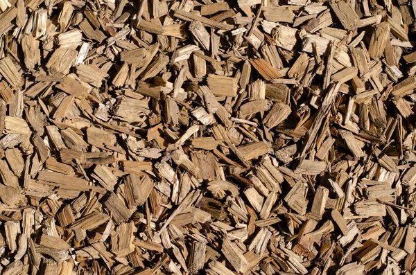 stock image Texture of wood chips for the designer.