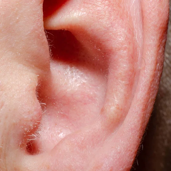 Human Ear Close Light Background — Stock Photo, Image