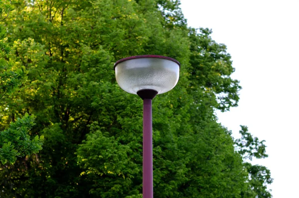 德国公园的路灯德国公园的路灯 背靠公园里的树木 — 图库照片