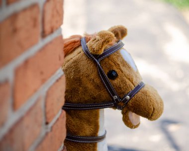 Oyuncak bir at evin köşesindeki duvarın arkasından dışarı bakıyor.