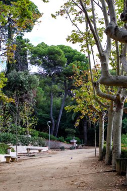 İspanya 'da tropik bitki ve ağaçların olduğu park