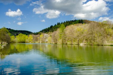 Spring Landscape Lake Forest Hills Almanya Manzarası