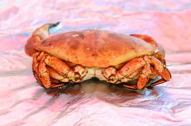 Pazar yerinde buz ve taze deniz ürünleriyle sergilenen pişirilmiş yengeç.