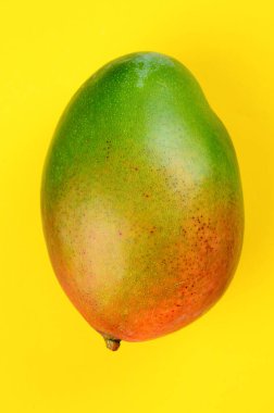 Mango parlak sarı bir arka planda