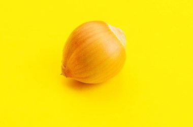 Orta çerçevede parlak sarı bir zemin üzerine desenli kabuklu tek fındık.