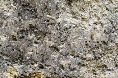 Taşlı ve kumlu toprağın farklı dokusu güzel bir zemin oluşturuyor.