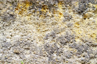 taş ve kum duvarın kaba dokusu benzersiz bir doğal zemin oluşturuyor.