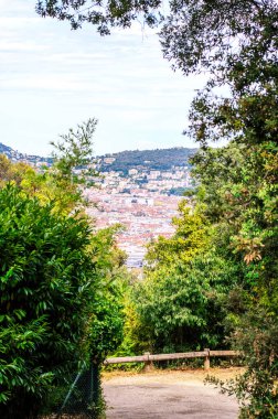 Yeşil yaprakların arasından görülen orman dağlarıyla çevrili bir Avrupa kasabası manzarası