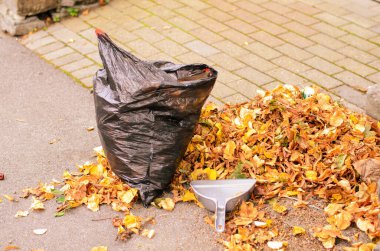 Pile of Autumn Leaves with a Dustpan and a Black Garbage Bag on the Pavement