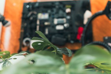 Bulanık elektronik çalışma alanı olan yeşil yaprakların sinematik yakın çekimi.