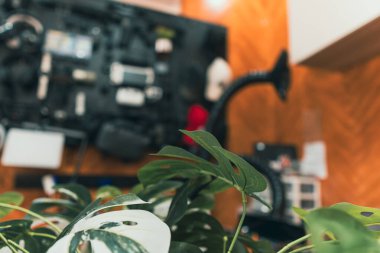 Bulanık elektronik çalışma alanı olan yeşil yaprakların sinematik yakın çekimi.