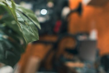 Bulanık elektronik çalışma alanı olan yeşil yaprakların sinematik yakın çekimi.