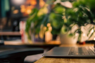 Üç monitör, not defteri, mikrofon ve yeşil bitkilerden oluşan sıcak ve rahat bir masa düzeni. Yaratıcı işler için minimalist bir Japon estetiğine sahip..