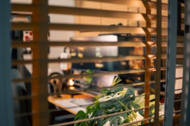 Üç monitör, not defteri, mikrofon ve yeşil bitkilerden oluşan sıcak ve rahat bir masa düzeni. Yaratıcı işler için minimalist bir Japon estetiğine sahip..