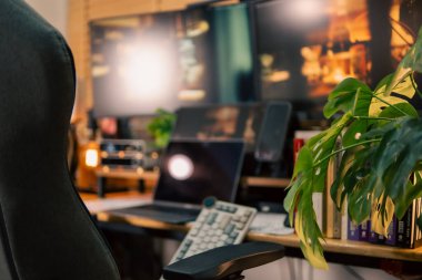 Üç monitör, not defteri, mikrofon ve yeşil bitkilerden oluşan sıcak ve rahat bir masa düzeni. Yaratıcı işler için minimalist bir Japon estetiğine sahip..