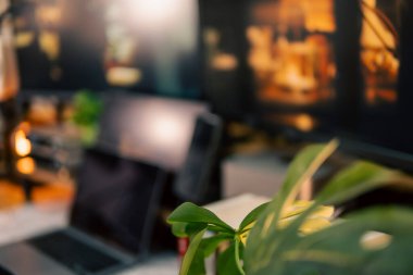 Üç monitör, not defteri, mikrofon ve yeşil bitkilerden oluşan sıcak ve rahat bir masa düzeni. Yaratıcı işler için minimalist bir Japon estetiğine sahip..