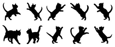 Çeşitli Eylemlerdeki Kedi Silüetleri Koleksiyonu beyaz arkaplanda izole edilmiş vektör illüstrasyonunu pozlar. Siluet evcil hayvan. hayvan silueti vektörü