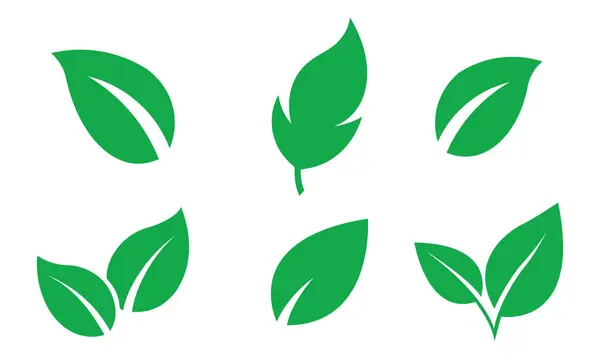 Beyaz arkaplanda yeşil yapraklı vektör illüstrasyonu