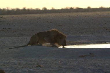 a closeup shot of a beautiful young male walking in the water