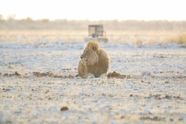 Doğanın güzel manzarası