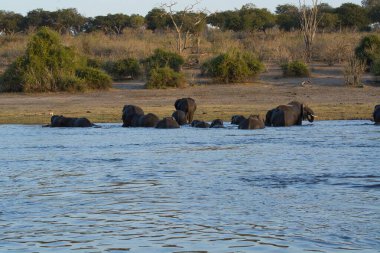 Filler Nehri üzerinde