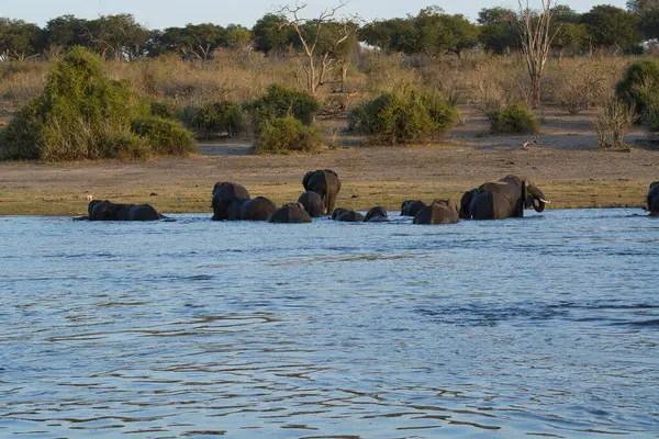 Filler Nehri üzerinde