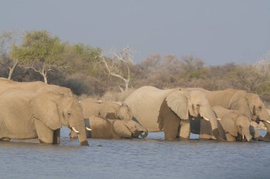 Filler Nehri üzerinde