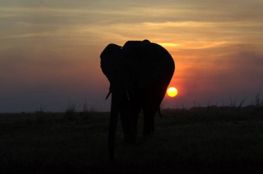 Dağlarda güzel bir gün batımı