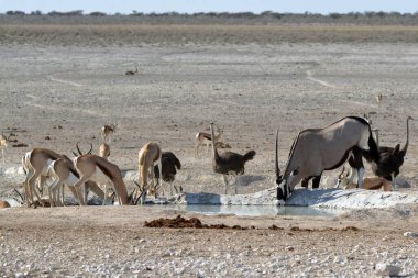 Su damlası tuzdaki küçük bir su damlacığıdır.