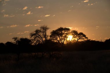 Parkta güzel bir gün batımı