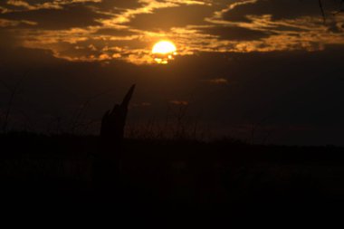 Gölün üzerinde güzel bir gün batımı