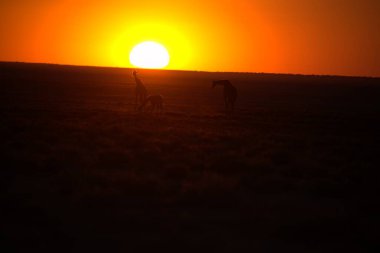 Gölün üzerinde güzel bir gün batımı