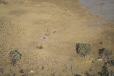 Ormandaki nehrin havadan görünüşü