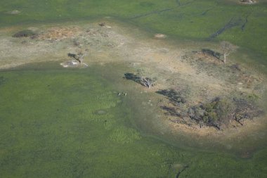 Göllü güzel bir manzara.