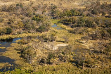 Nehir ve kuru çimenler