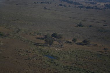 Ormandaki nehrin havadan görünüşü