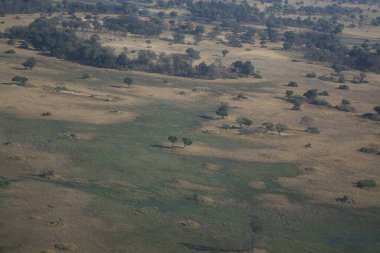 Sabahları kırsal bir manzara.