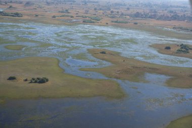 Ormandaki nehrin havadan görünüşü