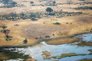 Kenya 'daki Afrika savanasının hava görüntüsü.