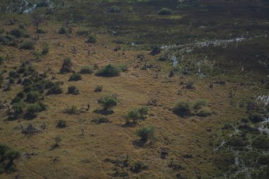 Ormanda nehri olan güzel bir manzara.