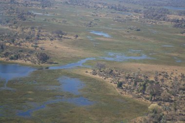Botswana 'daki savanın havadan görünüşü.