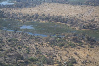 Afrika savanasının nehri.