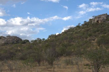 Güzel doğa manzarasının manzarası