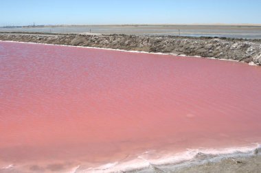 Pembe göllü tuzlu su