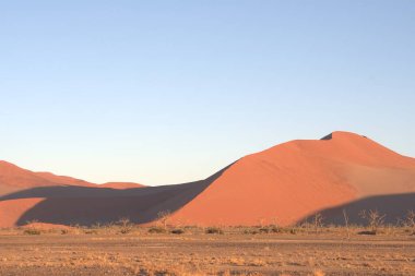 Kırmızı kum tepeleri olan namib çölünün güzel manzarası