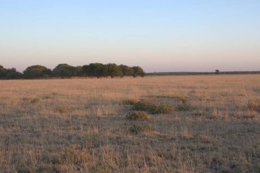 Sabah güzel bir manzara.