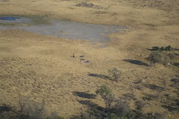 Doğanın güzel manzarası