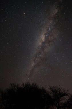 Gökteki Samanyolu Galaksisi