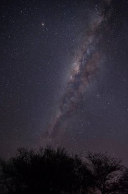 Gece gökyüzünde Samanyolu Galaksisi